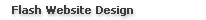 Flash Website Design
